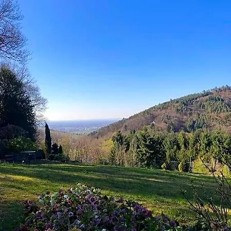 Panorama Apartment Im Schwarzwald In Einzigartiger Lage, Terrasse, 2 Schlafzimmer, Direkt Am Waldrand, Nahe Baden-Baden 4*