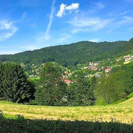 Panorama Apartment Im Schwarzwald In Einzigartiger Lage, Terrasse, 2 Schlafzimmer, Direkt Am Waldrand, Nahe Baden-Baden Бюлерталь