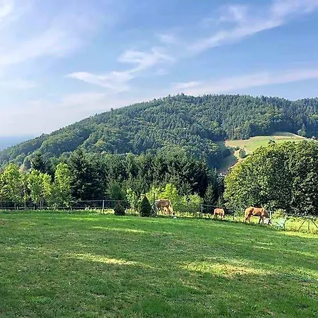 Panorama Apartment Im Schwarzwald In Einzigartiger Lage, Terrasse, 2 Schlafzimmer, Direkt Am Waldrand, Nahe Baden-Baden Отель Бюлерталь