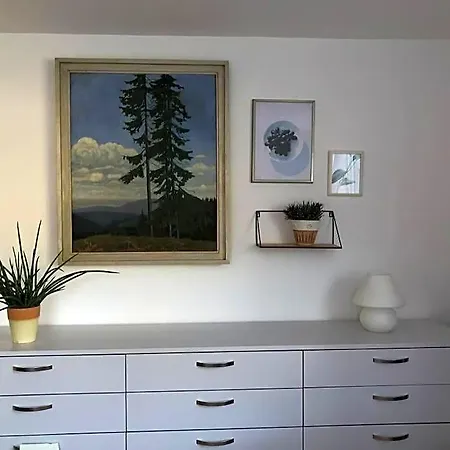 Panorama Apartment Im Schwarzwald In Einzigartiger Lage, Terrasse, 2 Schlafzimmer, Direkt Am Waldrand, Nahe Baden-Baden 4* Бюлерталь