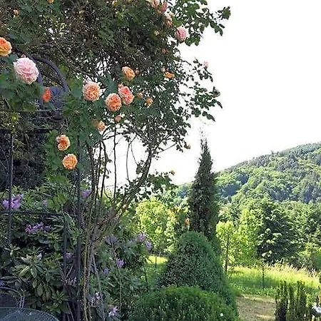 Отель Panorama Apartment Im Schwarzwald In Einzigartiger Lage, Terrasse, 2 Schlafzimmer, Direkt Am Waldrand, Nahe Baden-Baden Бюлерталь